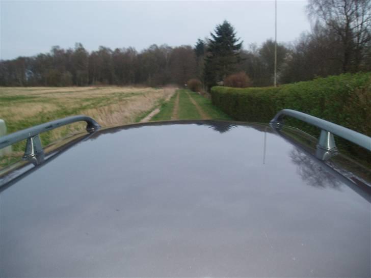 Hyundai Elantra billede 18