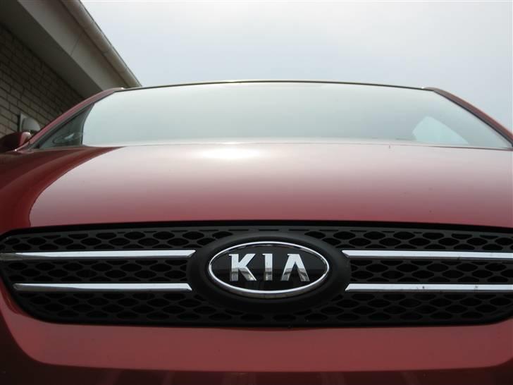 Kia Pro_ceed 1,6 CRDI (SOLGT) billede 19