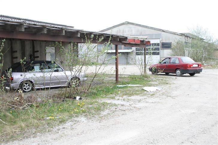 VW Golf 1 Cabriolet billede 9