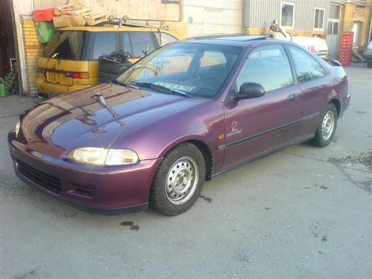 Honda civic coupe  - Sådan så den ud der jeg hentet fra tyskland billede 2
