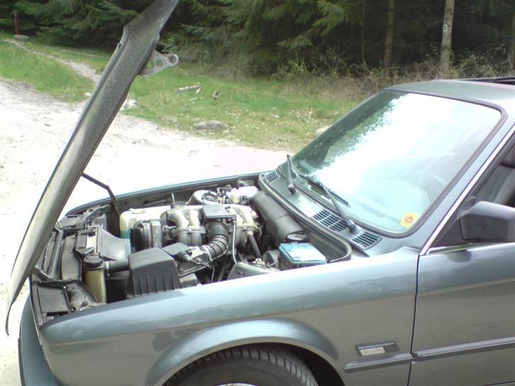 BMW E30 318i Coupe billede 11