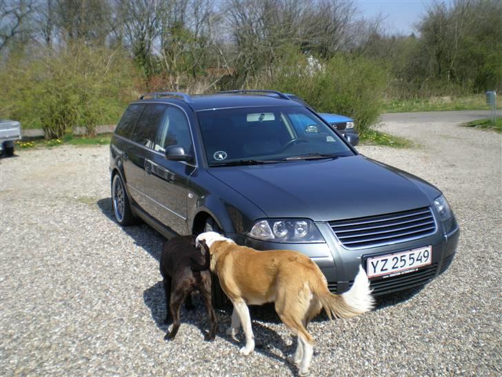 VW Passat 1,9 TDI  "SOLGT" billede 9