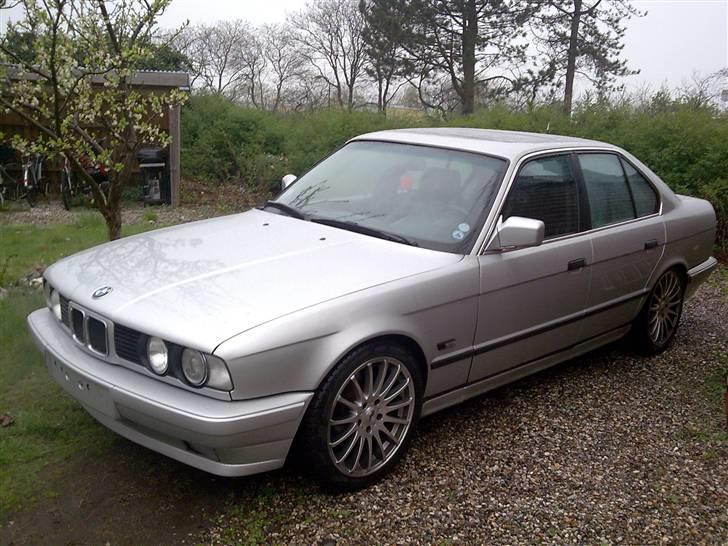 BMW 525 (solgt) billede 5