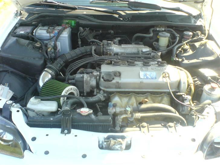 Honda civic coupe  billede 13