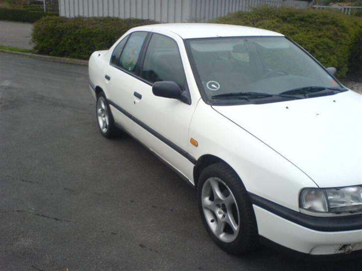 Nissan primera billede 1