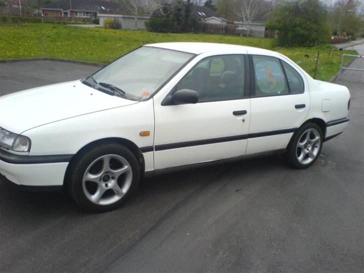 Nissan primera billede 2