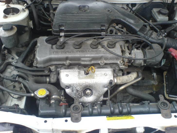 Nissan primera billede 6