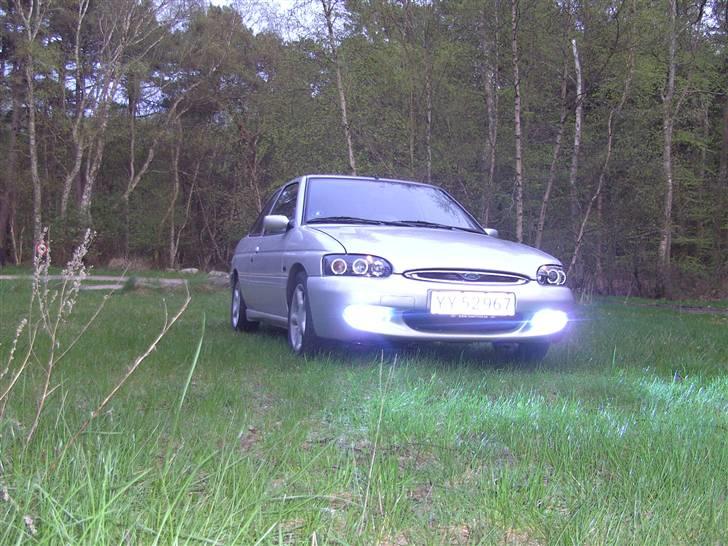 Ford Escort - Xenon 8000k billede 20