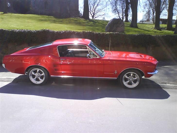 Ford Mustang Fastback - Mussen billede 1