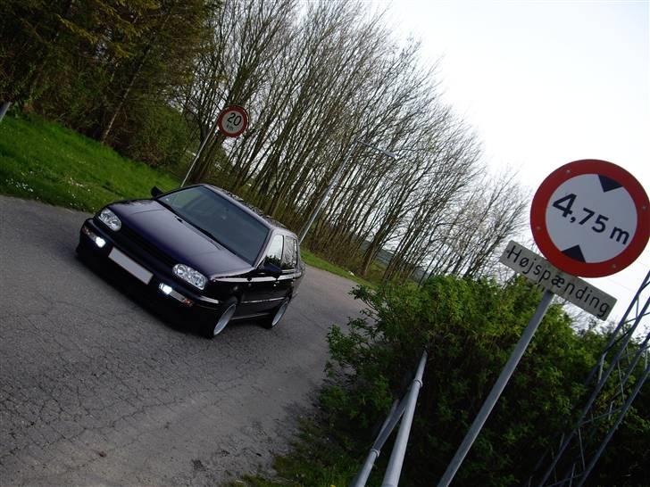 VW Vento GL billede 15