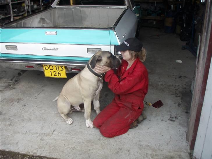 Chevrolet el camino billede 11
