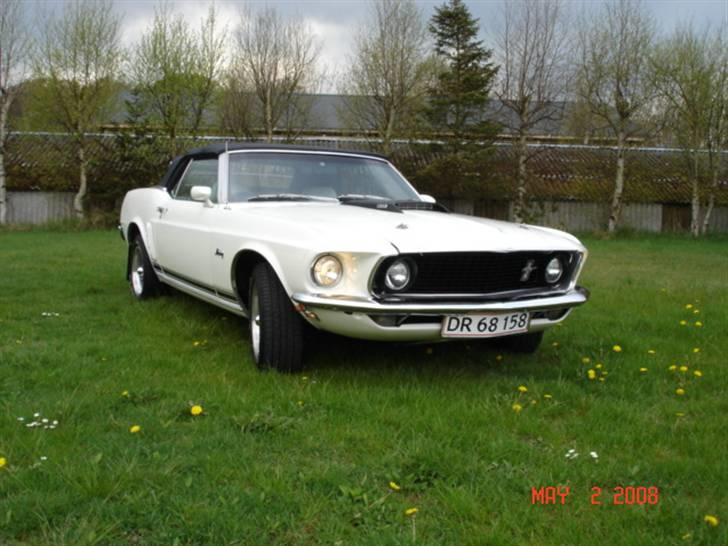 Ford Mustang billede 1