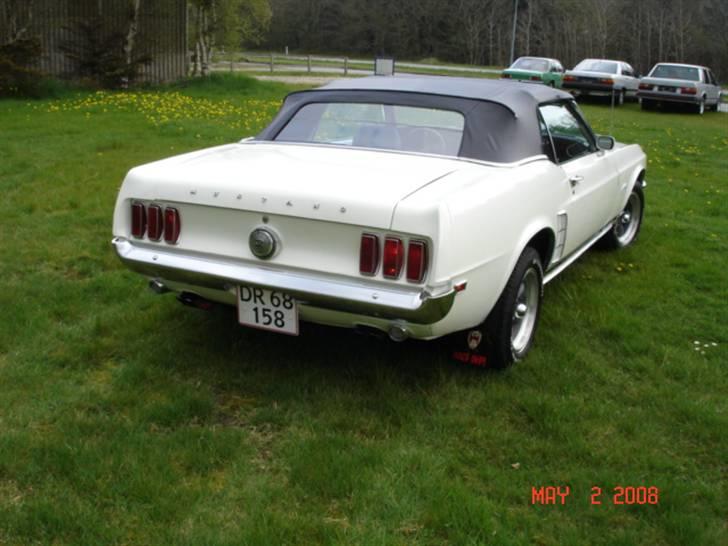 Ford Mustang billede 3