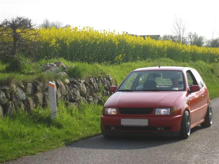 VW Polo 6N "SOLGT" billede 13