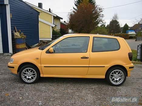 VW Polo N6 billede 2