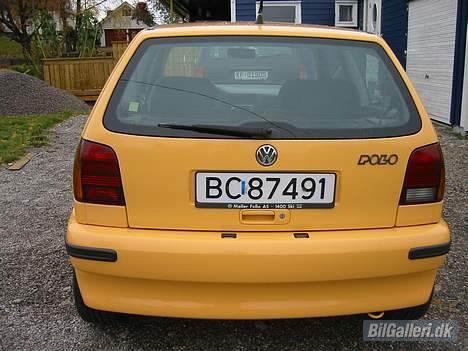 VW Polo N6 billede 4