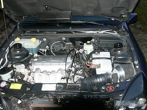 Ford Puma 1.7VCT billede 4