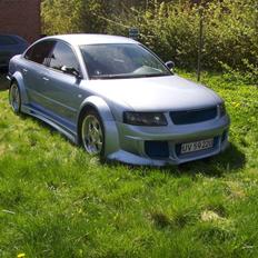 VW Passat Limosine wide body