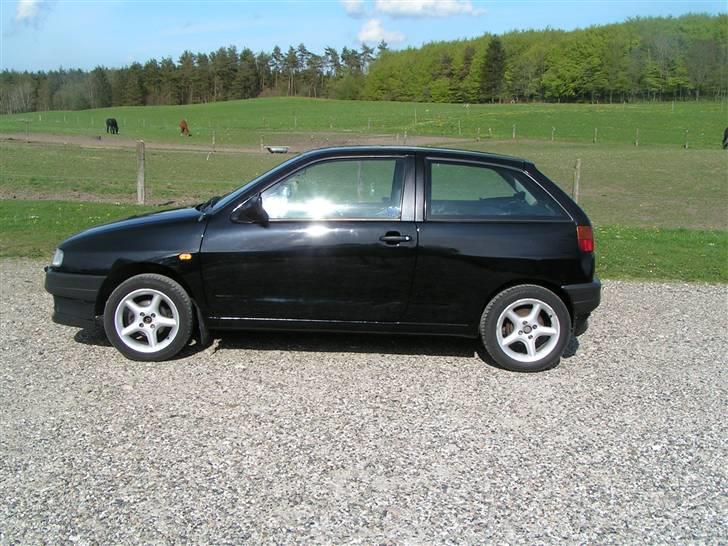 Seat ibiza   (død) billede 1