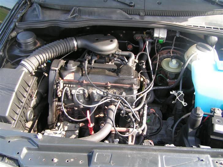 Seat ibiza   (død) billede 6