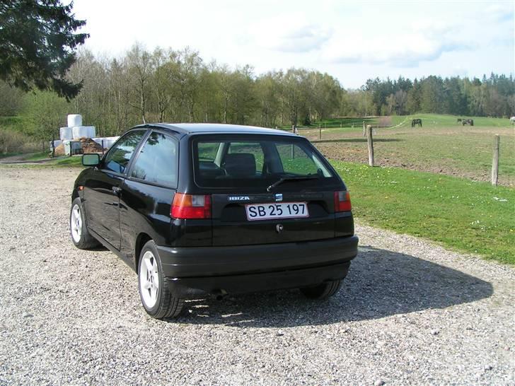 Seat ibiza   (død) billede 10