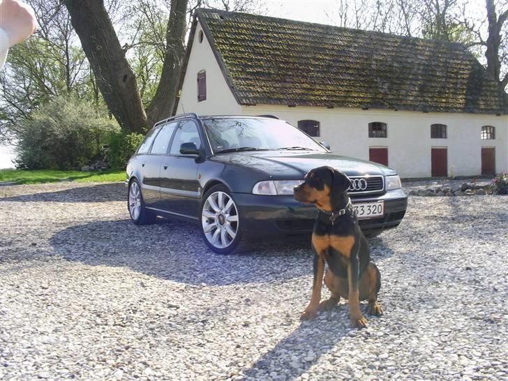 Audi A4 Avant 1.8T ***SOLGT*** - Rrrrrrrrr Kan I holde jer væk!!!!:0) billede 15