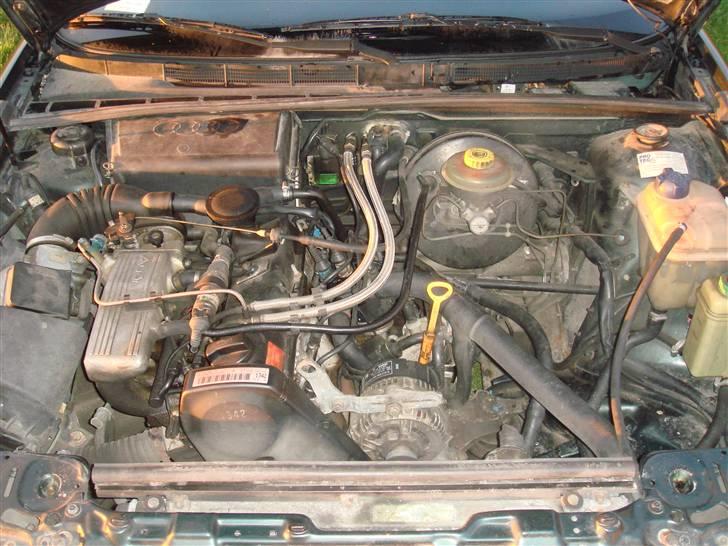 Audi 80 #SOLGT# billede 6