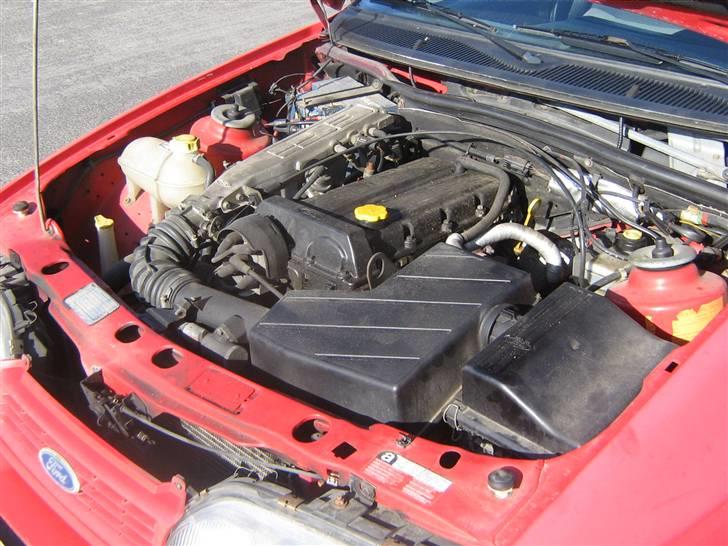 Ford Sierra DOHC ( SOLGT ) billede 5