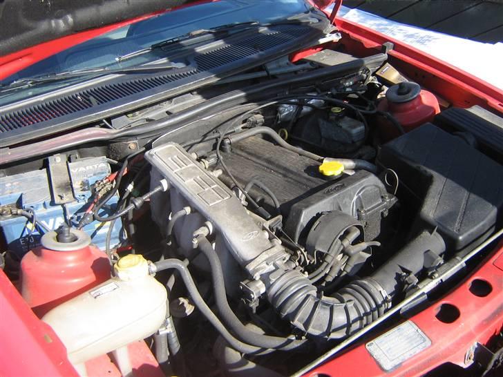 Ford Sierra DOHC ( SOLGT ) billede 17