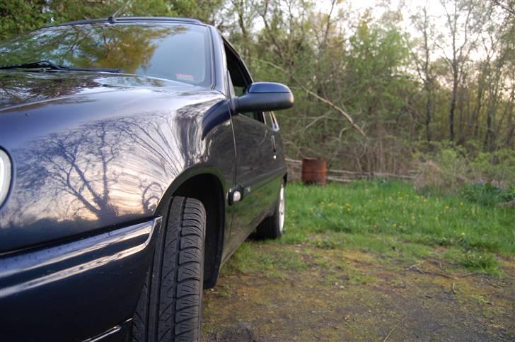 Citroën Saxo 1,4 i openair - Foto: Henrik Bech billede 14