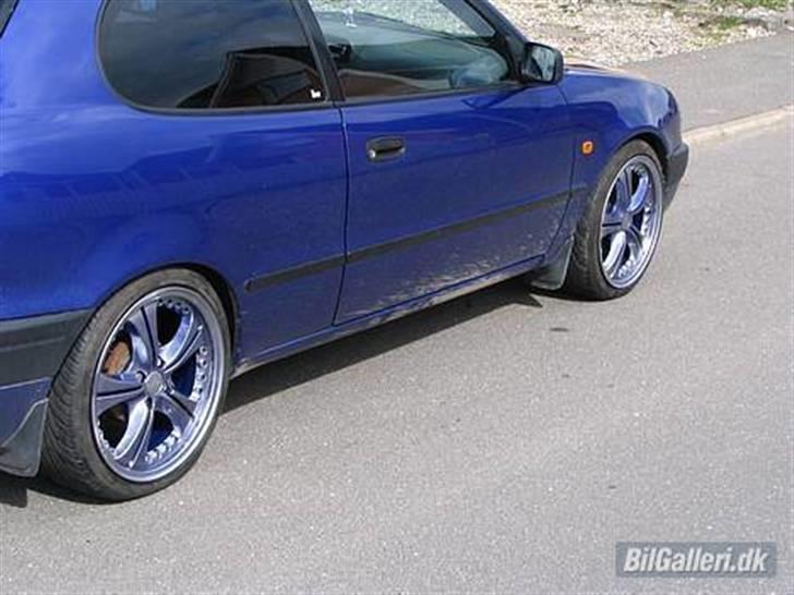 Toyota Corolla (Død) billede 2