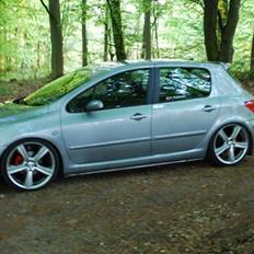 Peugeot Peugeot 307 se