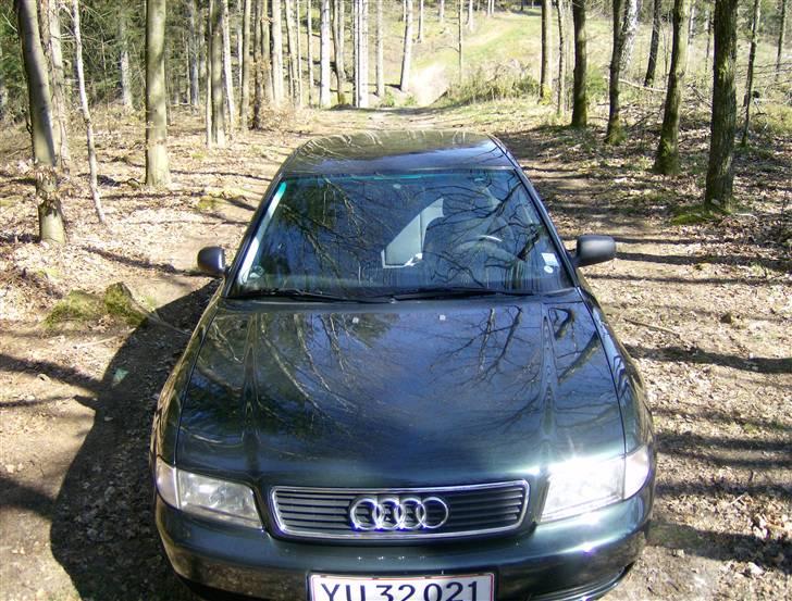 Audi A4 billede 11