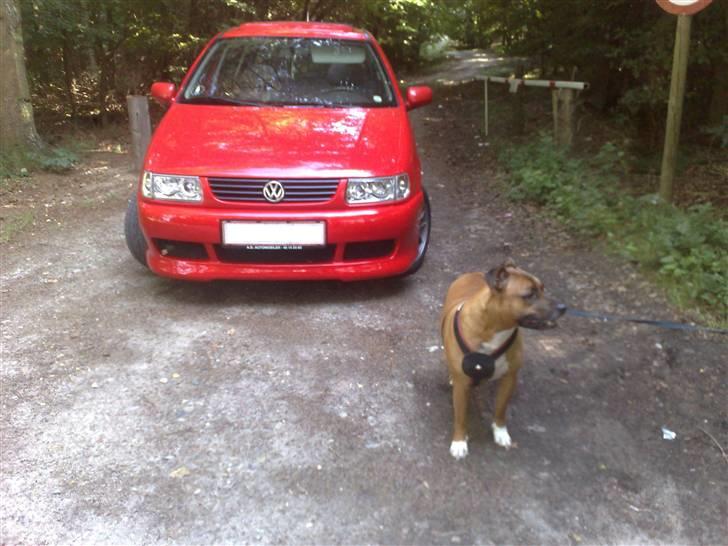 VW          Polo 6N Open Air - Billede af taget åbent fra siden... billede 5