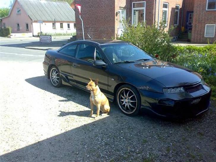 Opel Calibra *SOLGT* - De 2 muskeldyr... Far og mors drenge billede 15