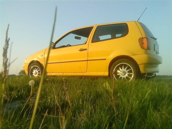 VW Polo 6n - Til salg/bytte billede 20