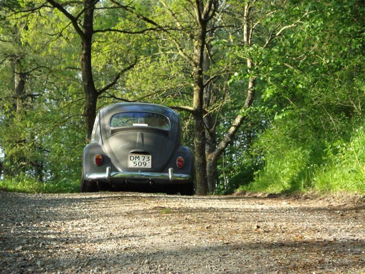 VW Bobbel 113 DE LUX  SOLGT billede 3