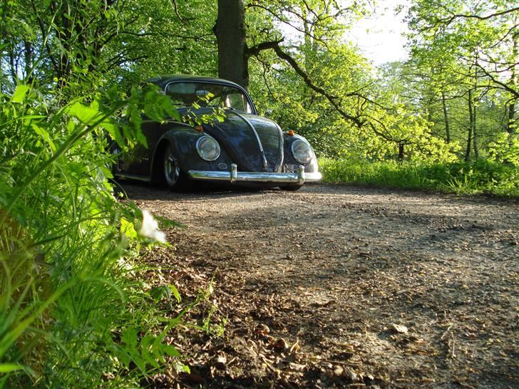 VW Bobbel 113 DE LUX  SOLGT billede 6