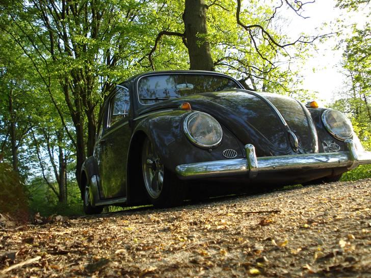 VW Bobbel 113 DE LUX  SOLGT billede 8