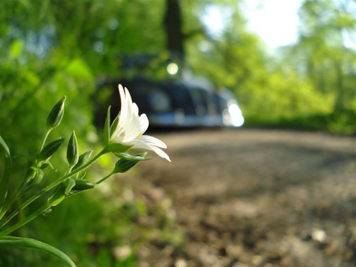 VW Bobbel 113 DE LUX  SOLGT billede 10