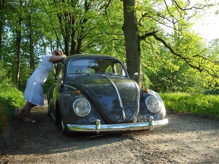 VW Bobbel 113 DE LUX  SOLGT - Beviset på at kvinder elsker en "folkevogn" billede 11