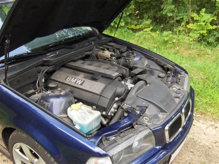 BMW E36 328i billede 3