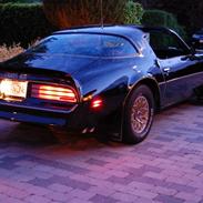 Pontiac Trans Am - The Bandit 