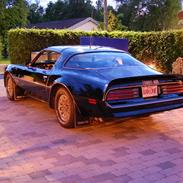 Pontiac Trans Am - The Bandit 