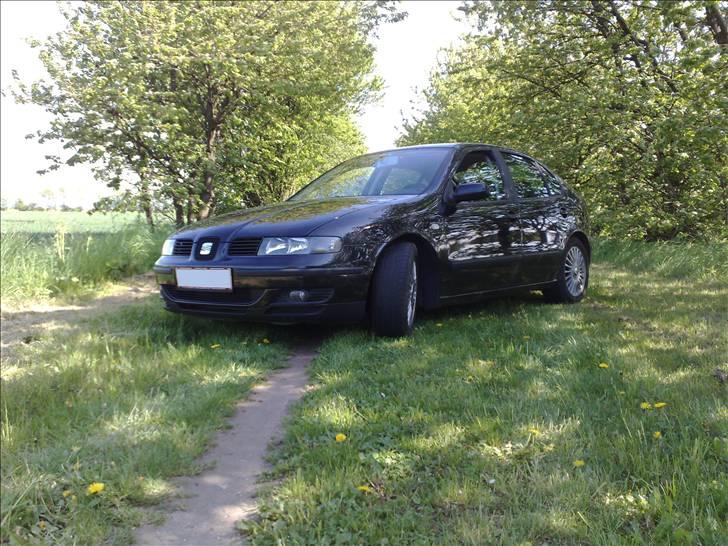 Seat Leon 1,8 20VT - jeg fandt da lige en lille lund/stig med lidt flotte omgivelser, det pynter da altid. billede 2