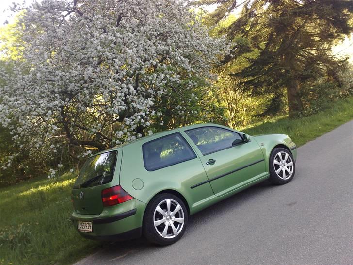 VW Golf 4 SOLGT SOLGT billede 7