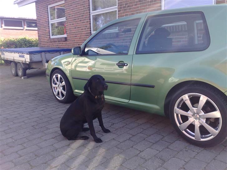 VW Golf 4 SOLGT SOLGT billede 12