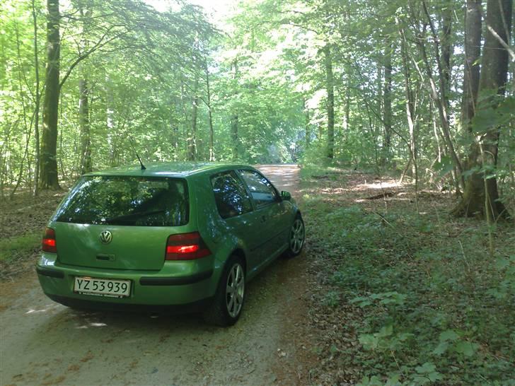 VW Golf 4 SOLGT SOLGT billede 13