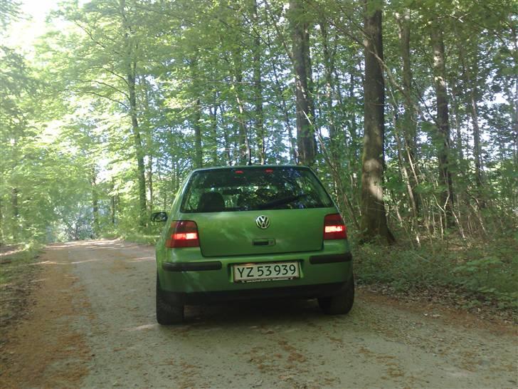 VW Golf 4 SOLGT SOLGT billede 14