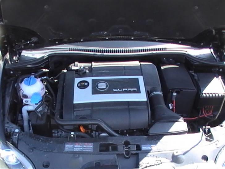 Seat Leon Cupra billede 19